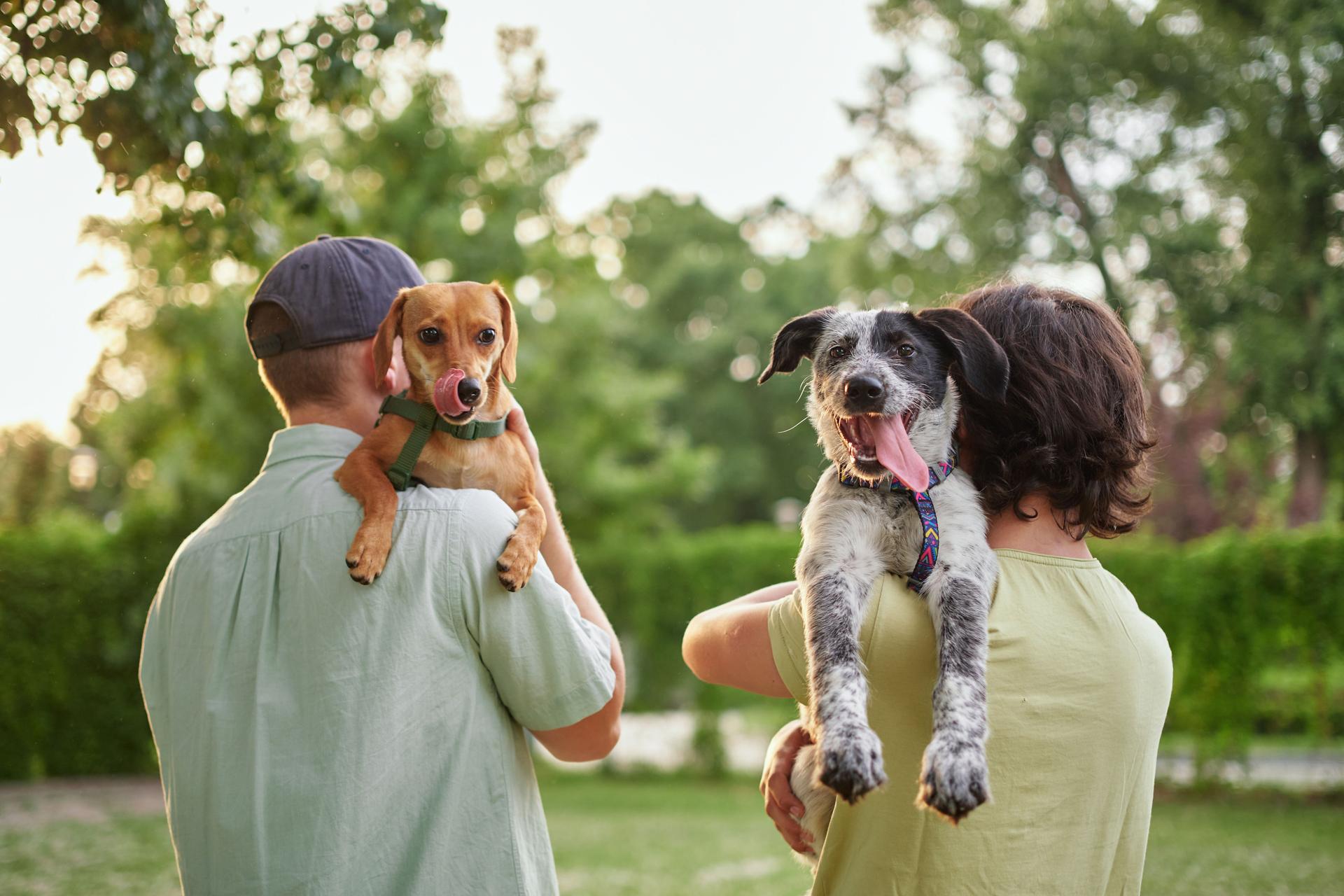 Love, portrait and family with dog at animal shelter for adoption at kennel